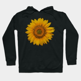 Sunflower 2 Hoodie